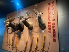 -浙江自然博物院(杭州馆)