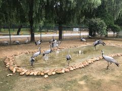 -秦皇岛野生动物园