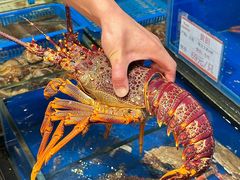 -奕景海鲜酒家· 大连海鲜(星海广场店)