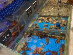 -加餐海鲜自助(宝龙一城店)