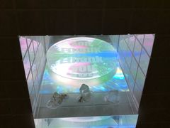 -金泽21世纪美术馆