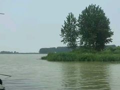 -洪湖生态旅游区