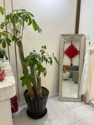 -金都微美·精准护肤·疗愈SPA