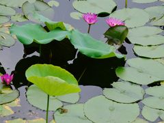 -烈士陵园(地铁站)