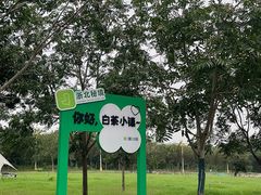 -帐篷客·溪龙茶谷度假酒店