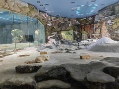 -珠海长隆海洋王国