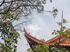 -抚仙湖禄充风景区