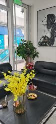 -Coo Hair salon