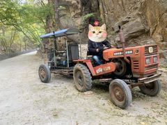 -北京上方山国家森林公园