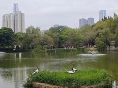 -人民公园(罗湖区)