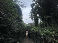 -海南热带野生动植物园