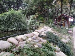 -成都市活水公园