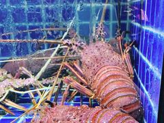-徐记海鲜(梅溪新天地店)