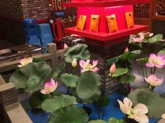 -七里川健康火锅(总店)