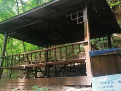 -天女山森林公园