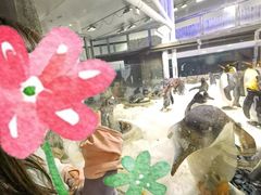 -悉尼海洋生物水族馆