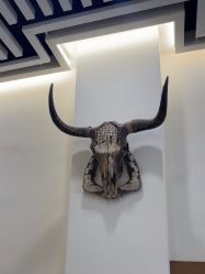 -MARTIN'S BARBER SHOP男士理发馆