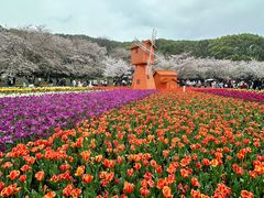 -苏州上方山国家森林公园