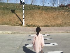 -君乐宝优致牧场