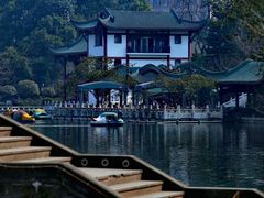 -桂湖森林公园