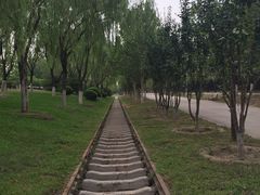 -永定河休闲森林公园