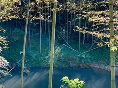 -千泷沟大瀑布旅游区