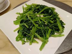 -锦粤宫·精致粤菜(深圳北站店)