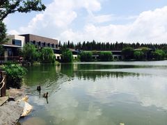 怡沁园度假村-上海怡沁园度假酒店