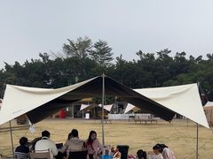 -长洲岛都市农业公园