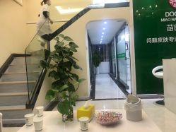 -苗医生草本科技祛痘