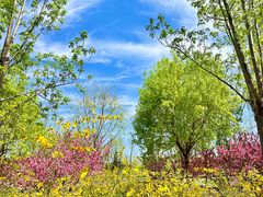 -永定河休闲森林公园