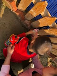 -萌宠亲子动物乐园(槐房万达店)