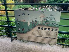 -九龙公园