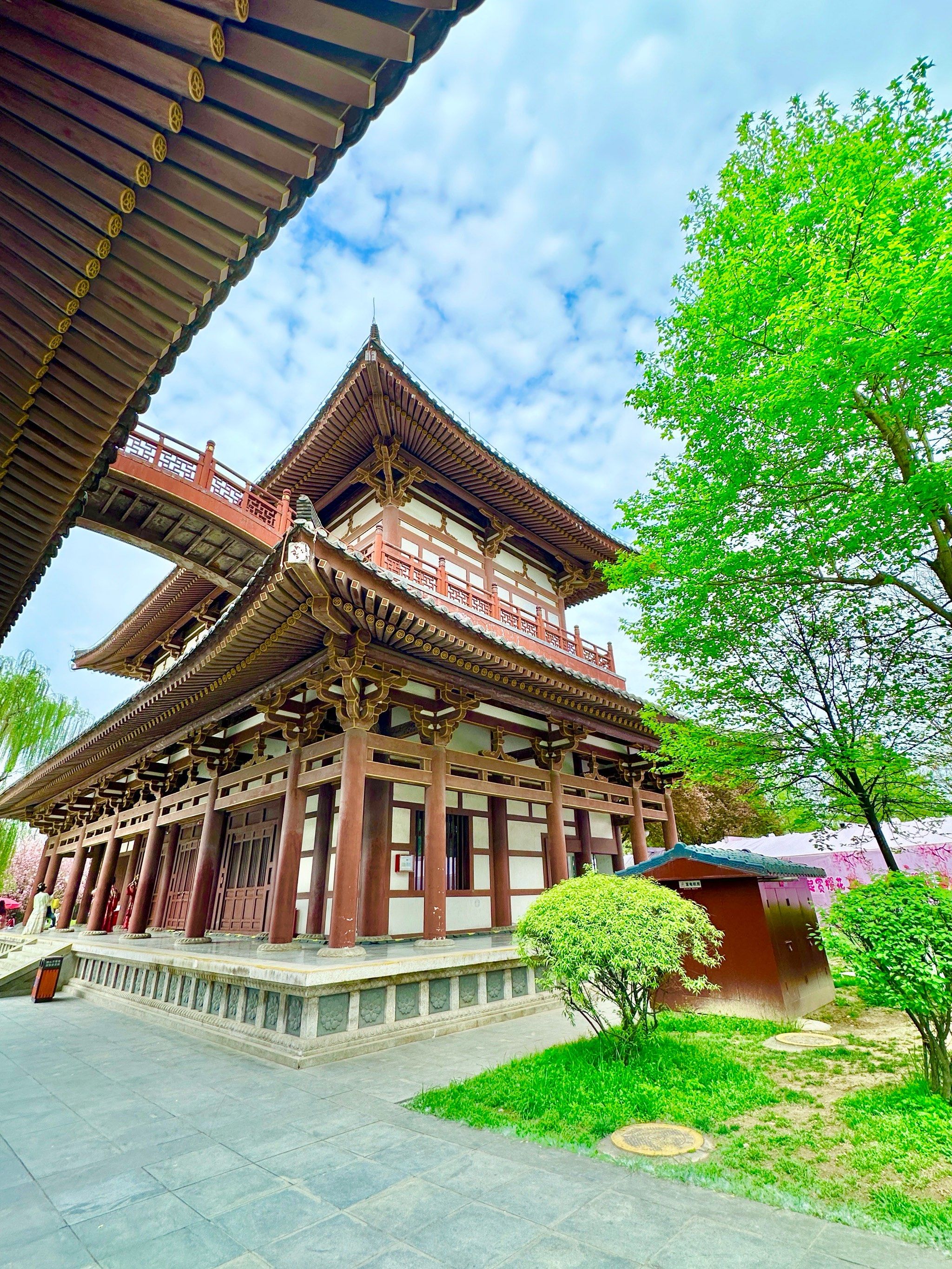 青龙寺你不火我是很有意见的!