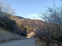 -北京西山国家森林公园