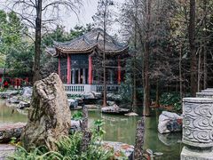 -顺峰山公园