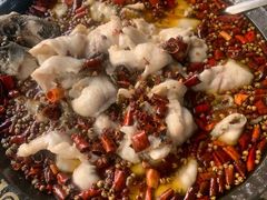 -金三可市井水煮鱼(金碧园店)