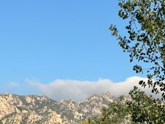 -蜀都冒菜·酱蟹生腌