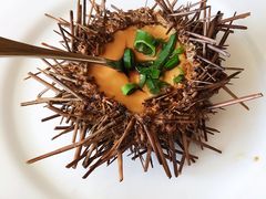 海胆-春华海鲜城(广场西苑店)