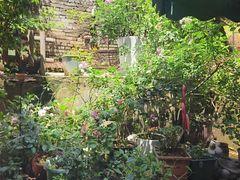 -鱼乐岛餐厅·户外花园主题餐厅