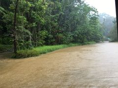 -热带雨林自然公园