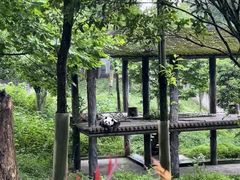 -碧峰峡风景区