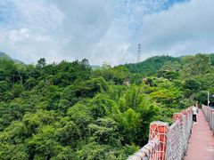 -广州白江湖森林公园