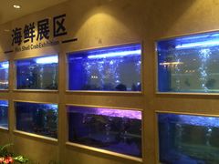 水产区-阿英煲(凉城路店)