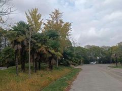 -胜华驾校·小猫学车(银都店)