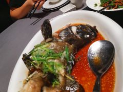 清蒸老虎斑-徐记海鲜(梅溪新天地店)