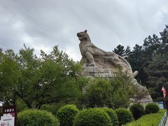 -帽儿山国家森林公园