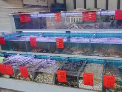 -金海湾海鲜排档(朱家尖店)