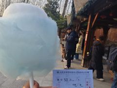 -合肥滨湖国家森林公园