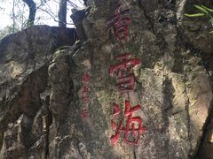 -香雪海